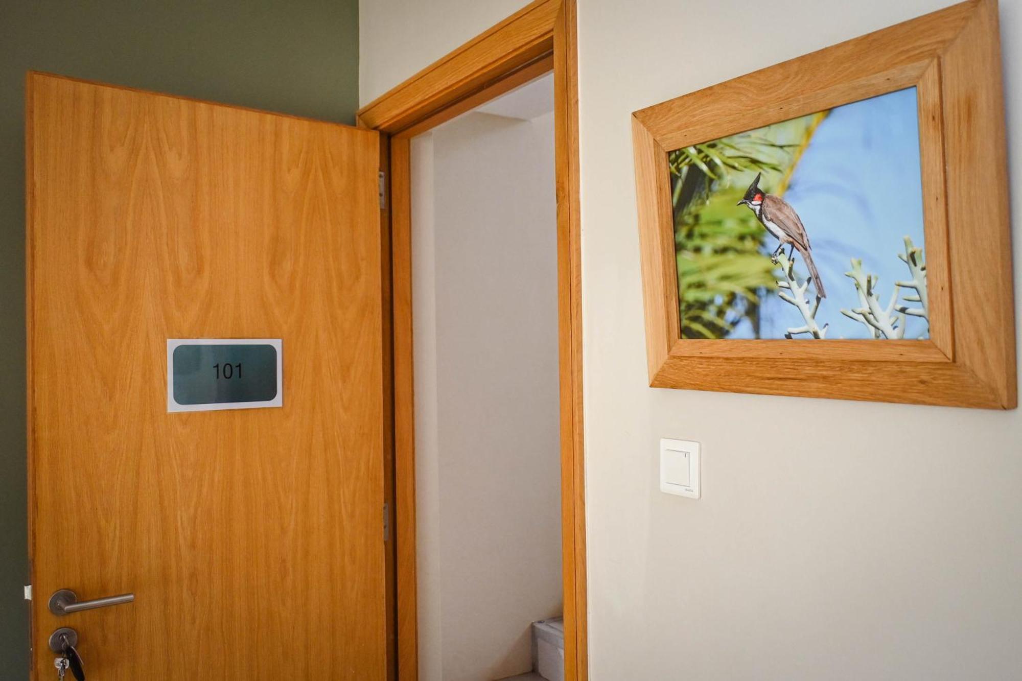 Bois Mapou Self Catering Apartments Unit 101 Rivière Noire Eksteriør billede